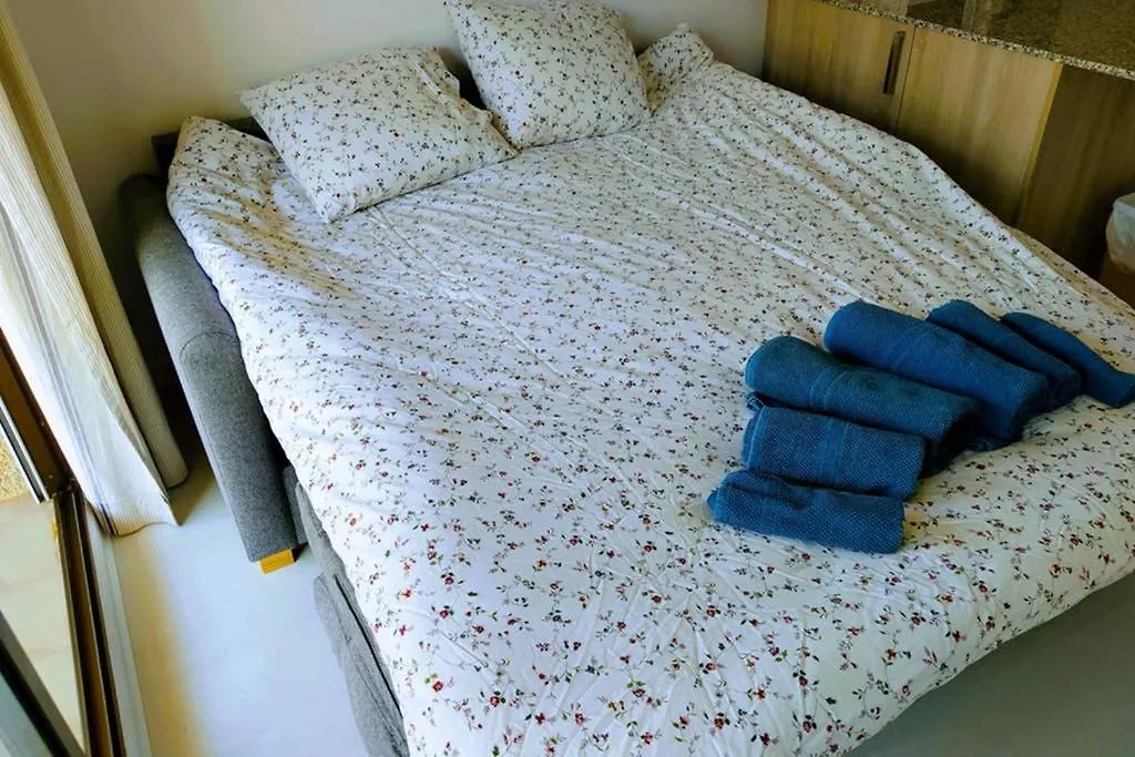 Magnifique Logement Roses Apartment Spain